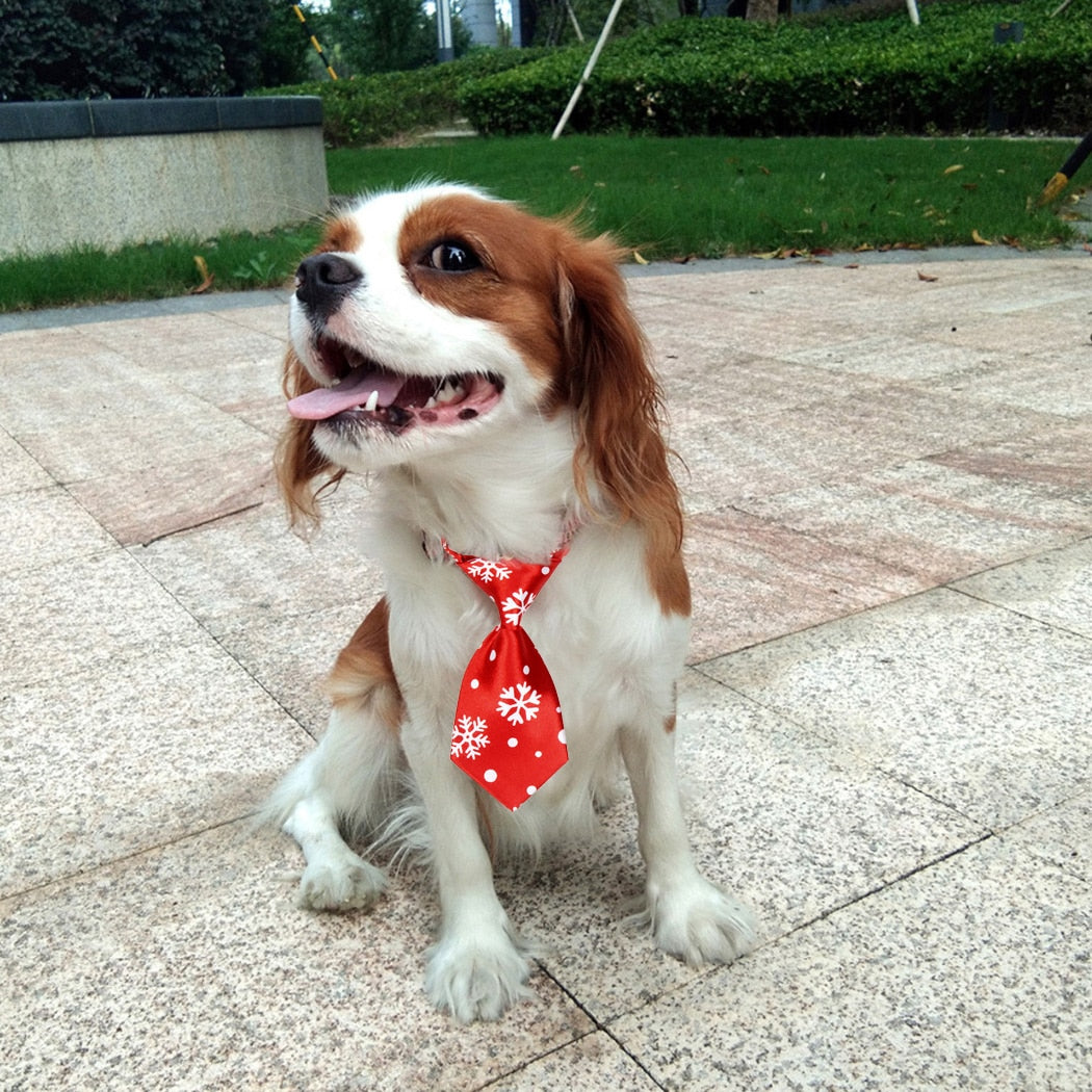 Christmas Dog Necktie
