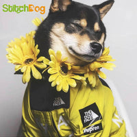 Thumbnail for Winter Fashion Dog Jacket