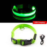 Thumbnail for USB Charging Led Dog Collar