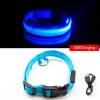 Thumbnail for USB Charging Led Dog Collar