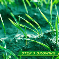 Thumbnail for 20×300cm Lawn blanket Grass Seed Mat Fertilizer Garden Picnic Gardening Lawn Planting Mat 2020 Hot Sale Dropping Garden Supplies