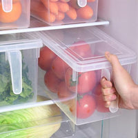 Thumbnail for Anti-Bacterial Food Storage Bins